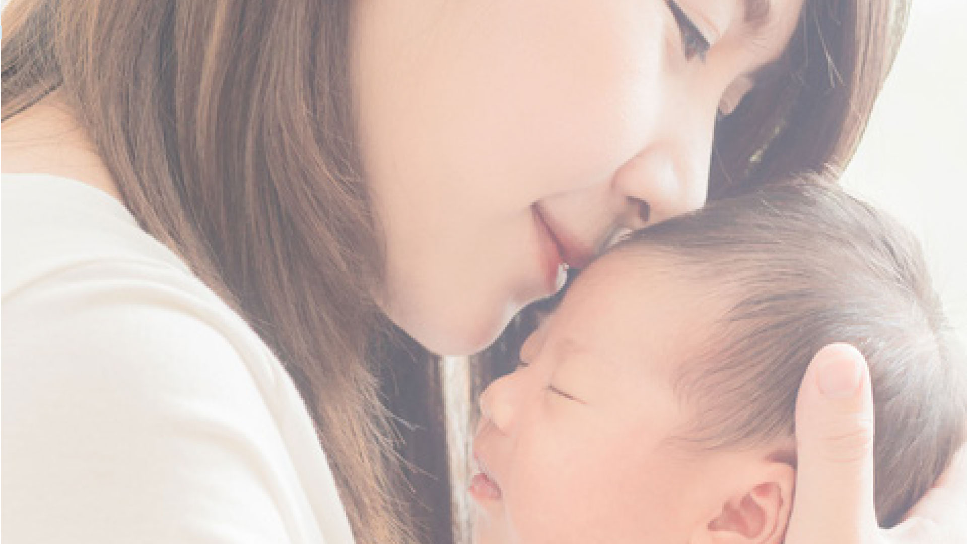 Professional support team